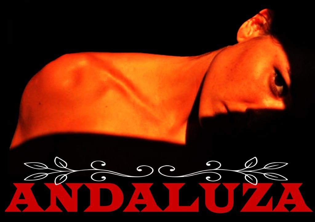 ANDALUZA POSTER H 3 internet